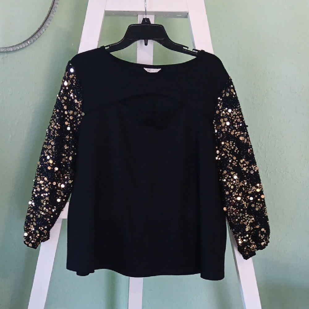 Cato Black Top with Gold Sequin Sleeves